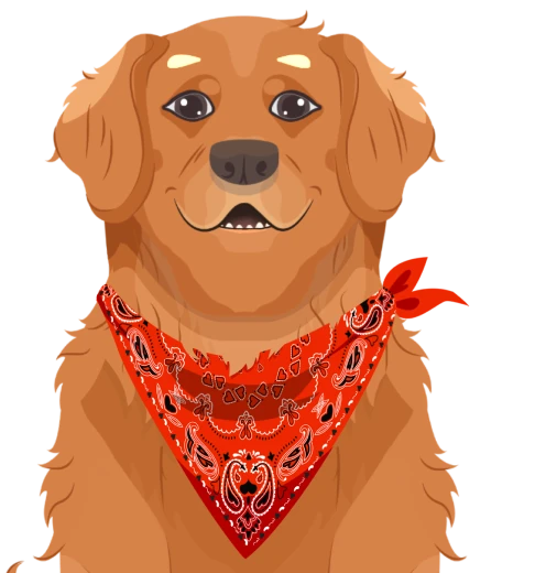 , Pet Care Assistant